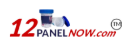 12 Panel Now Logo